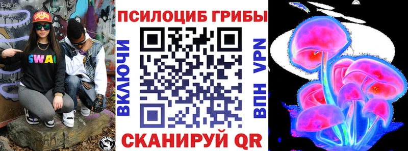 Галлюциногенные грибы Psilocybe  Рузаевка 